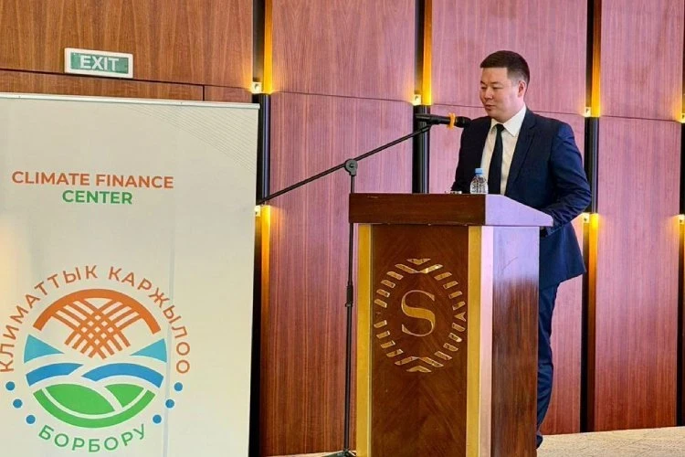 Kyrgyzstan Plans to Import Up to 15,000 Electric Vehicles Annually