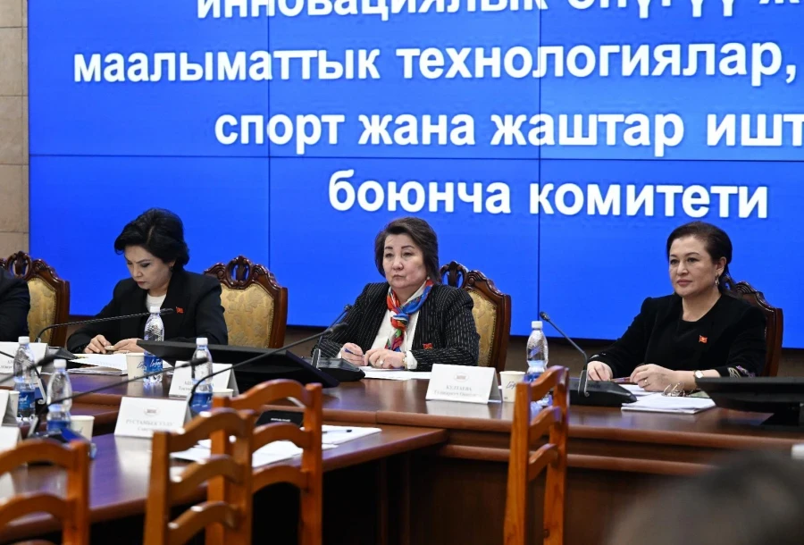 The Jogorku Kenesh Noted the Lack of Psychologists in Schools