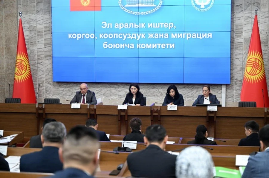 Deputies raised the issue of children traveling abroad with the consent of one parent.