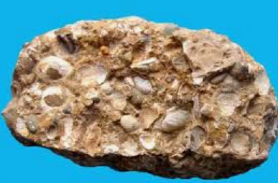 Export of limestone-shell rock from Kyrgyzstan has been banned