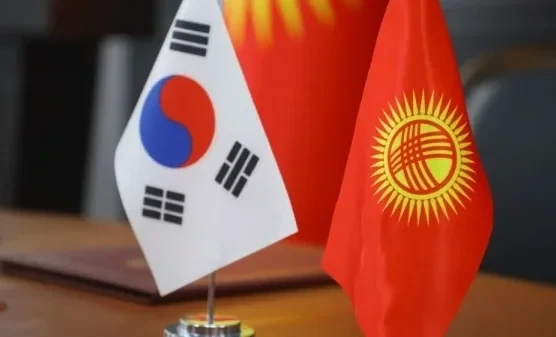 Республика Корея Кыргызстандагы мамлекеттик органдарга 10 Hyundai IONIQ 5 электромобилдерин тапшырды