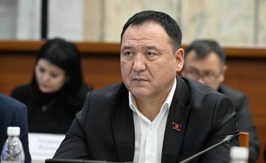 ЦИК проверяет наличие судимости у депутата ЖК Бекмурзы Эргешова