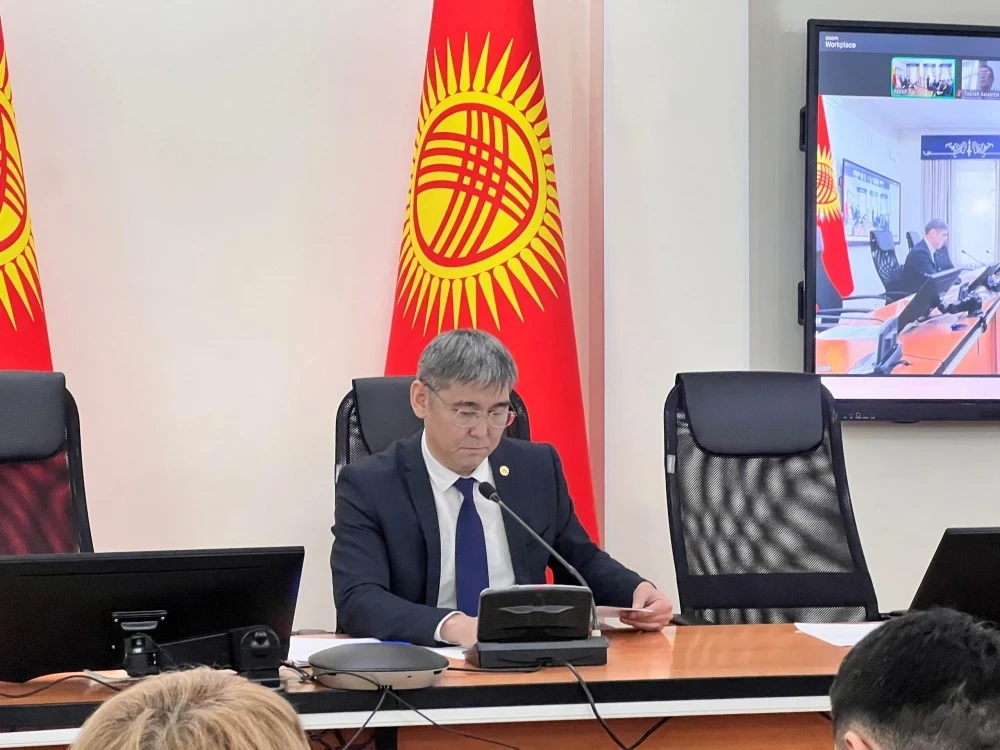 В Минздраве обсудили меры по снижению материнской смертности