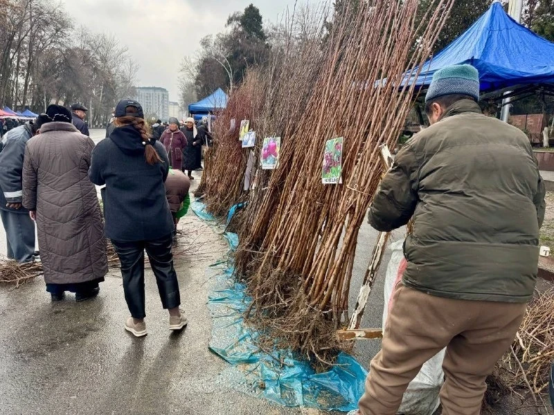 В Ошской области открылась международная выставка "Агро Экспо – 2026"