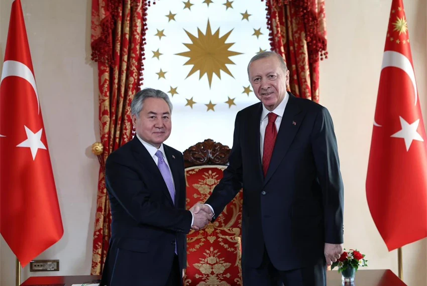Министры иностранных дел стран ОТГ встретились с президентом Турции Эрдоганом