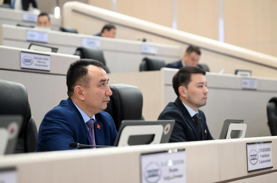 Депутаты приняли законопроекты о взаимной отмене виз для владельцев дипломатических и служебных паспортов с четырьмя странами