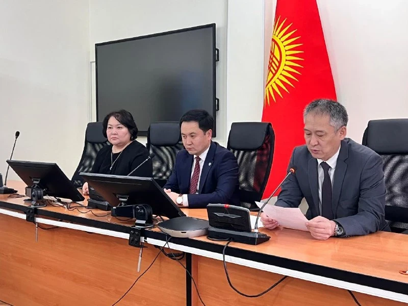 Гульбару Ишенапысову назначили заместителем министра здравоохранения