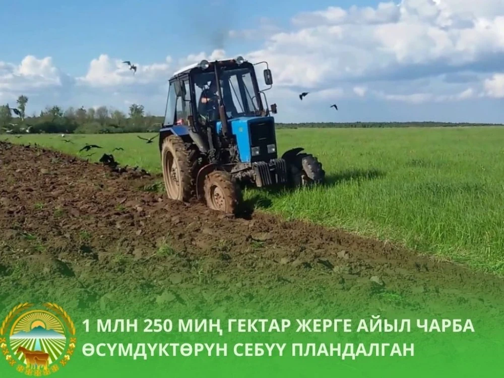 В Кыргызстане под урожай 2026 года засеют 1,25 млн гектаров земли