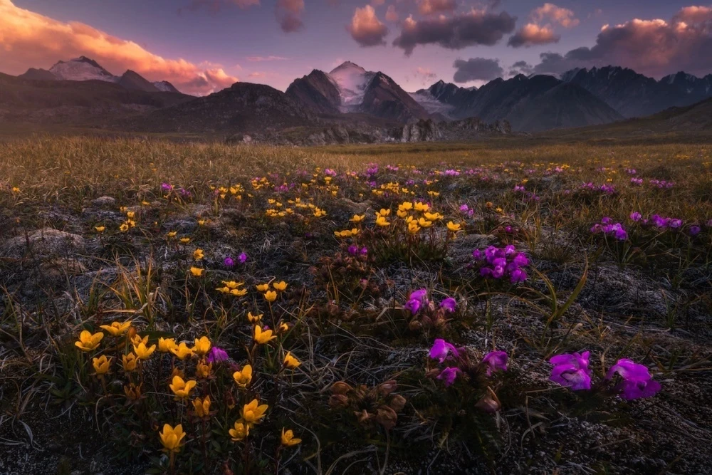 Готов ли Кыргызстан к "великому обнулению" безопасности?