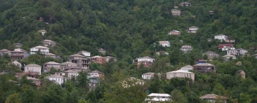В Грузии задержали 72 жителей одного села за «причастность к воровскому миру»
