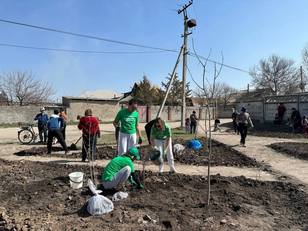 В Бишкеке создают мини-скверы в семи жилмассивах: нужна поддержка горожан