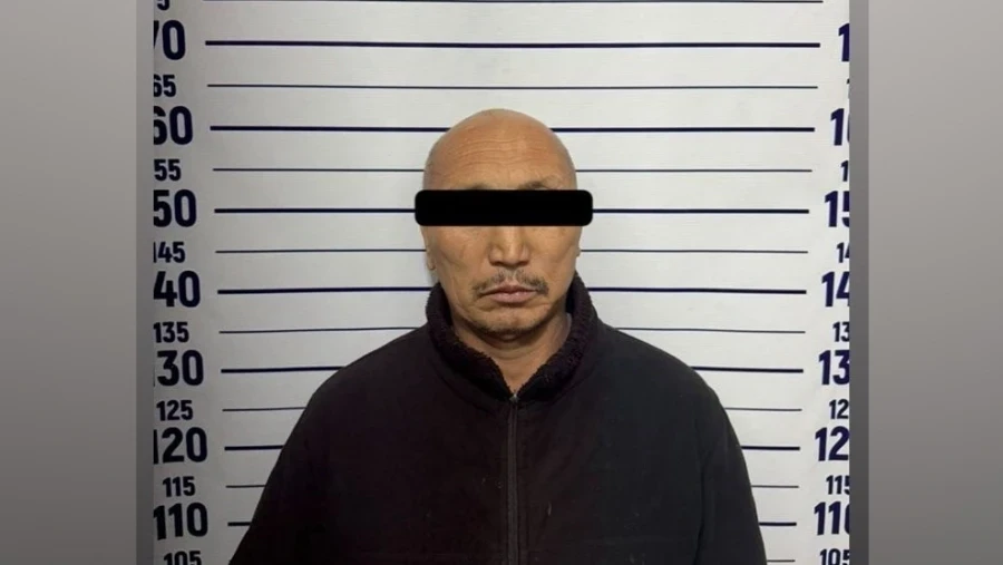 Посаженный на цепь на Дордое: задержан подозреваемый