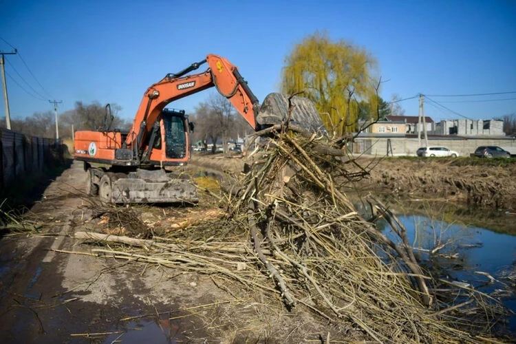 Пеньки и тонкие саженцы. Как мэрия благоустраивает столицу Кыргызстана