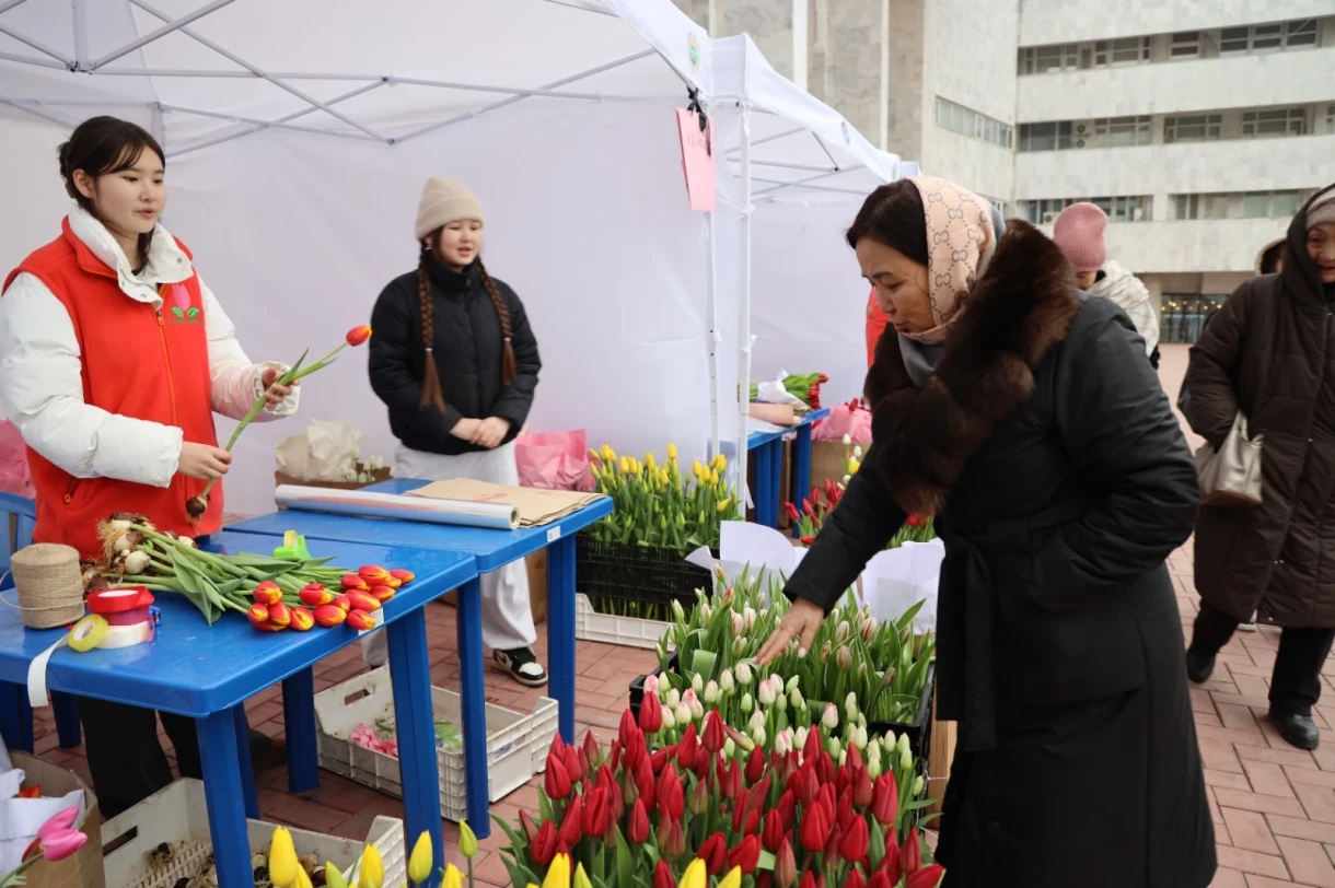 The Tulip Festival has started in Kyrgyzstan