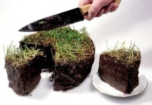 В Сокулукском районе 22 гражданам незаконно выдали участки