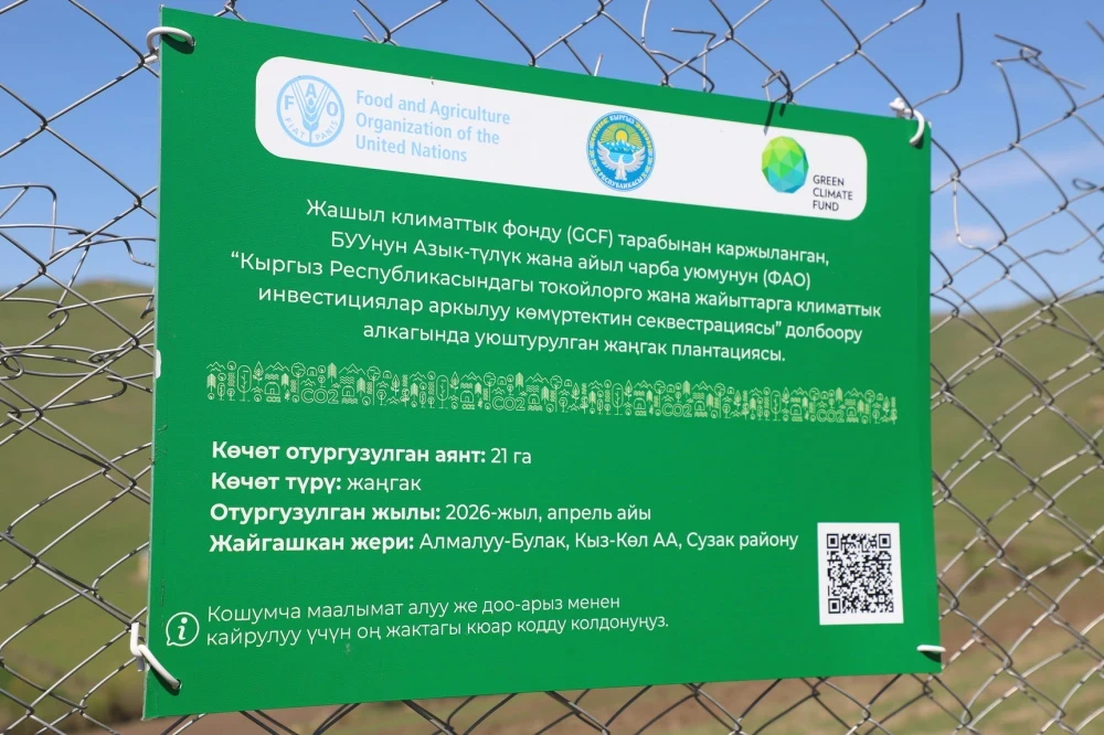 В Джалал-Абадской области высадят более 500 тысяч деревьев