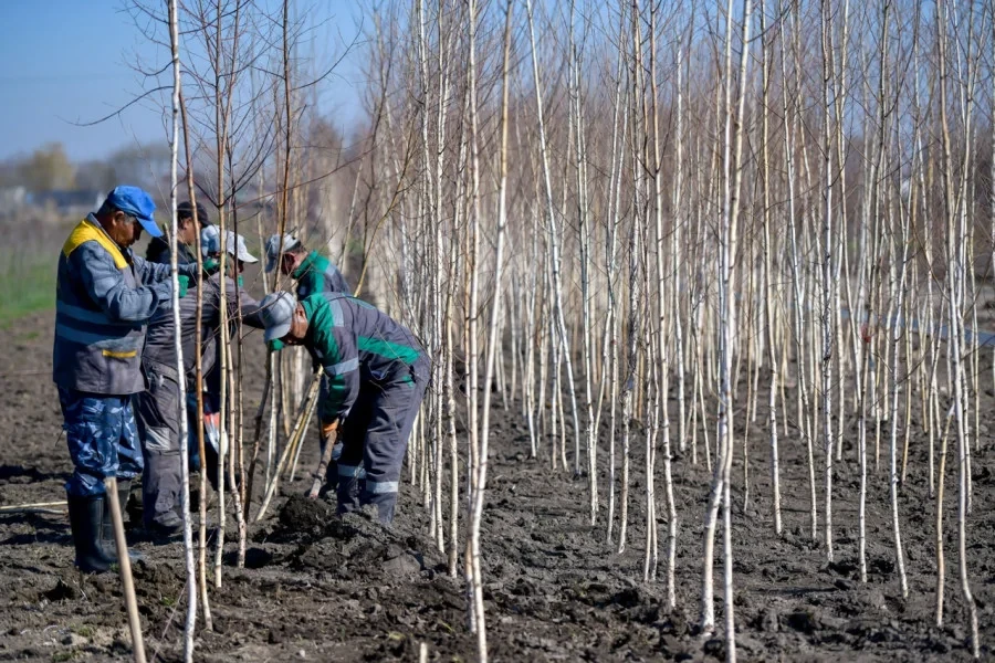 В Бишкеке появится второй Ботанический сад с зонами отдыха